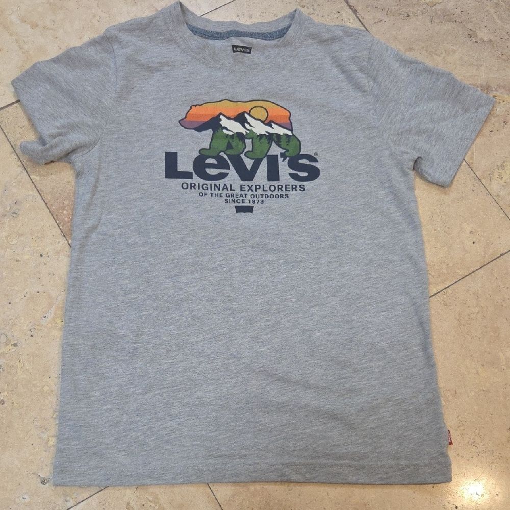 Levi's Light Gray Tee with Multicolor Mountain Bear Graphic